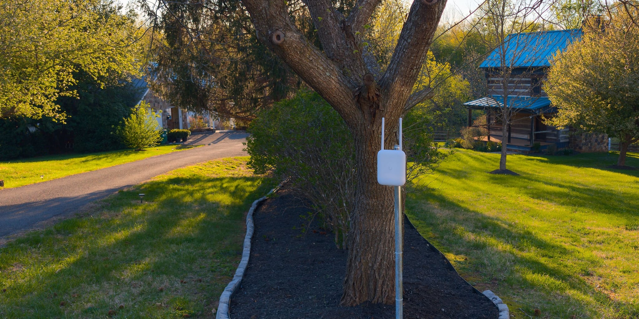 Outdoor UniFi access point on a pole at a landscaped driveway island at golden hour, with an outbuilding beyond — Castleton, Virginia estate
