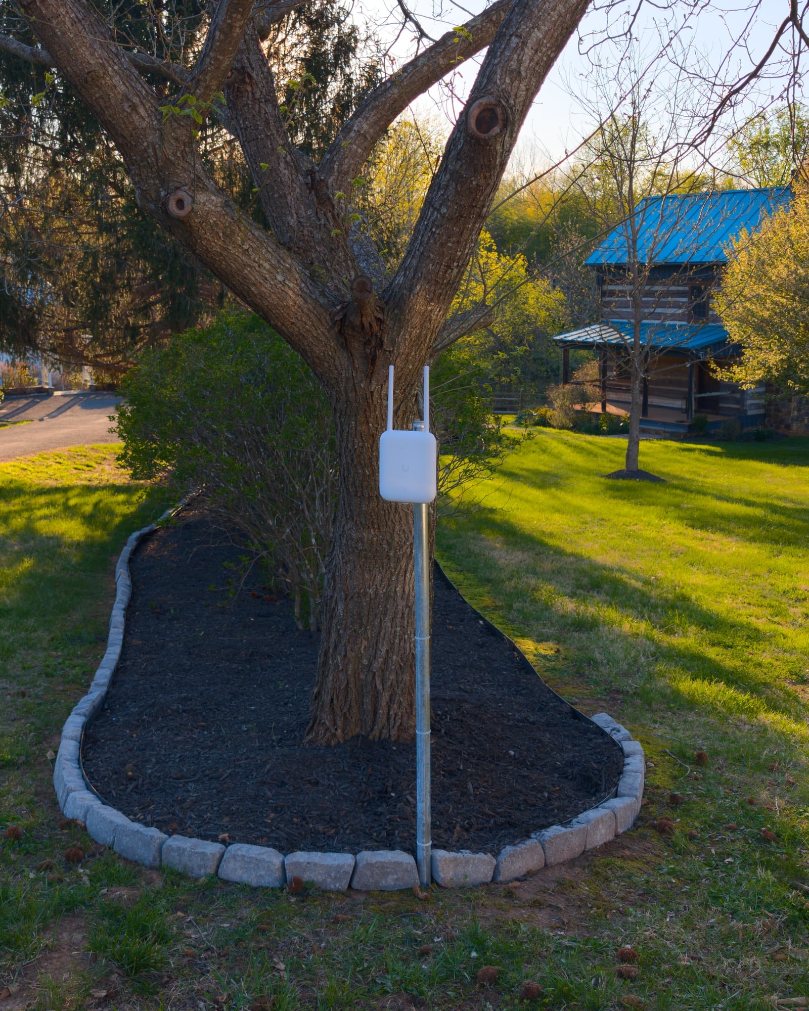 Pole-mounted outdoor access point at the driveway island with the cabin beyond — Castleton, Virginia estate