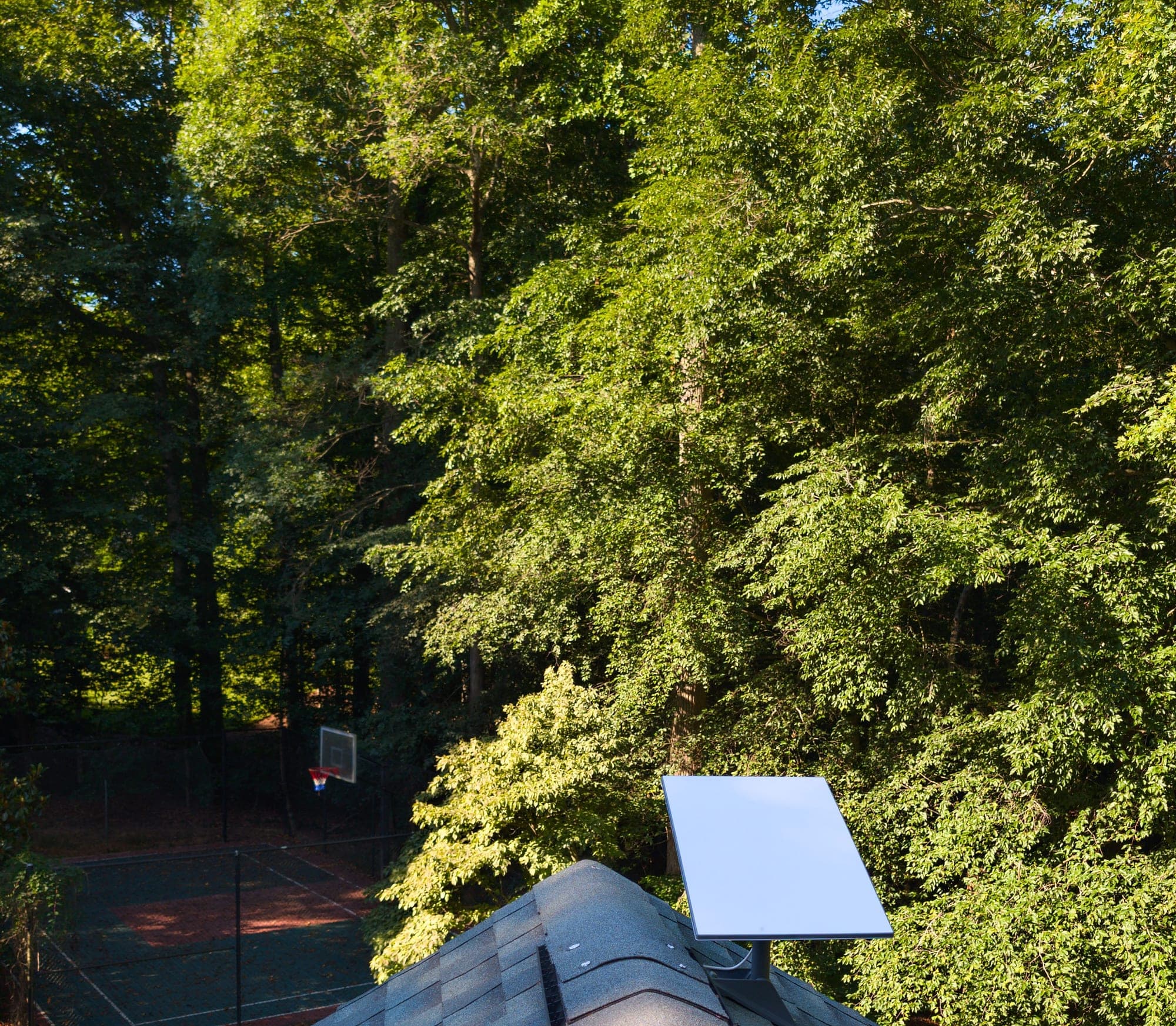 Starlink dish on a roof mount with tall trees surrounding the structure (representative photo)
